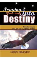 Praying Your Way Into Destiny: Relentless Prayers; Your Way to Fulfilling Destiny