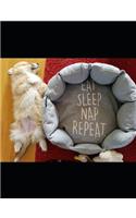 Eat Sleep Nap Repeat Corgi