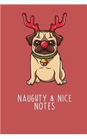 Naughty & Nice Notes