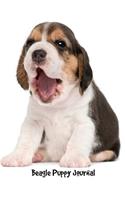 Beagle Puppy Journal