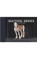 Beautiful Horses Postcard Book