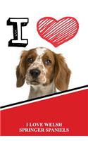 I Love Welsh Springer Spaniels