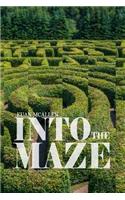 Into the Maze