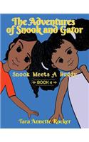 The Adventures of Snook and Gator