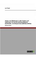 Anbau von Ölpflanzen in den Tropen und Subtropen für die Herstellung biogener Kraftstoffe - Am Beispiel des südlichen Afrikas