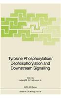 Tyrosine Phosphorylation/Dephosphorylation and Downstream Signalling