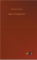 Sphinx Vespiformis