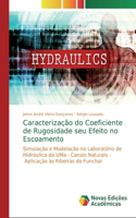 Caracterização do Coeficiente de Rugosidade seu Efeito no Escoamento