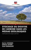 Stockage Du Dioxyde de Carbone Dans Les Médias Géologiques