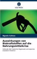 Auswirkungen von Biokraftstoffen auf die Nahrungsmittelkrise