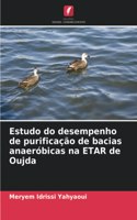 Estudo do desempenho de purificação de bacias anaeróbicas na ETAR de Oujda