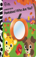 Baby Einstein Peekaboo Who Are You Mirror Book