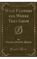 Wild Flowers and Where They Grow (Classic Reprint)