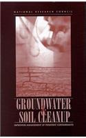 Groundwater and Soil Cleanup: Improving Management of Persistent Contaminants