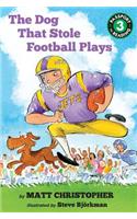 Dog That Stole Football Plays