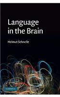 Language in the Brain