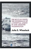 The Boys in White; The Experience of a Hospital Agent in and Around Washington