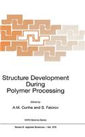 Structure Development During Polymer Processing