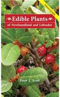 Edible Plants of Newfoundland & Labrador