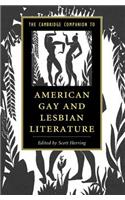 Cambridge Companion to American Gay and Lesbian Literature