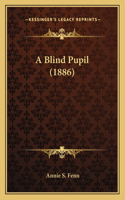 Blind Pupil (1886)