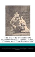 The Right to Intellectual Property