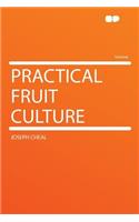 Practical Fruit Culture