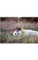 Grey Seal Pups of Donna Nook 2018: New Borns and Week Old Seal Pups(Calvendo Animals)