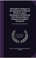 Descriptive Catalogue of the Specimens of Natural History in Spirit Contained in the Museum of the Royal College of Surgeons of England. Vertebrata: Pisces, Reptilia, Aves, Mammalia