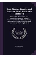 Bees, Pigeons, Rabbits, and the Canary Bird, Familiarly Described