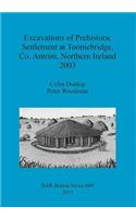 Excavations of Prehistoric Settlement at Toomebridge Co. Antrim Northern Ireland 2003