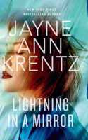Lightning in a Mirror: (3 Fogg Lake Trilogy)