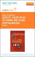 Color Atlas of Canine and Feline Ophthalmology - Elsevier eBook on Vitalsource (Retail Access Card)