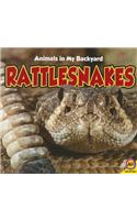 Rattlesnakes