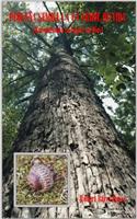 Pequeña Semilla a un Árbol de Vida