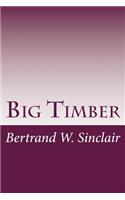 Big Timber