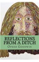 Reflections from a ditch: (English)