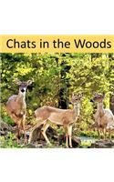 Chats in the Woods