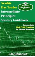 Newbie Day Trader Intermediate Principles Mastery Guidebook