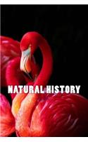 Natural History (Journal / Notebook)