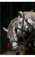 Team of Two Dapple Gray Horses Portrait Journal: 150 Page Lined Notebook/Diary