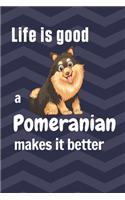 Life is good a Pomeranian makes it better