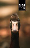 Duck Geese Goose Mallard Duckling Week Planner Weekly Organizer Calendar 2020 / 2021 - Looking Dreamy
