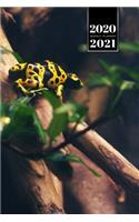 Frog Toad Week Planner Weekly Organizer Calendar 2020 / 2021 - Yellow on Tree Branch