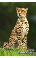 2020 Weekly Planner: Cheetah - Acinonyx jubatus - 2020 Weekly Calendar - 12 Months - 107 pages 6 x 9 in. - Planner - Diary - Organizer - Agenda - Appointment - Half Spre