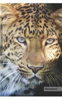 Leopard Notebook
