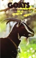 Goats 5 x 8 Weekly 2020 Planner: One Year Calendar
