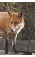 Fox Journal