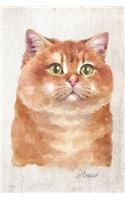 Hosico Cat Portrait Notebook: Blank Dot Grid Journal for Cat Lovers, Cat Mom, Cat Dad and Pet Owners - 6x9 - 5MM Dot Grid Pages(38 Watercolor Cat Journals)