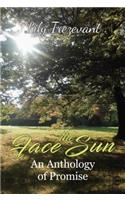 Face the Sun